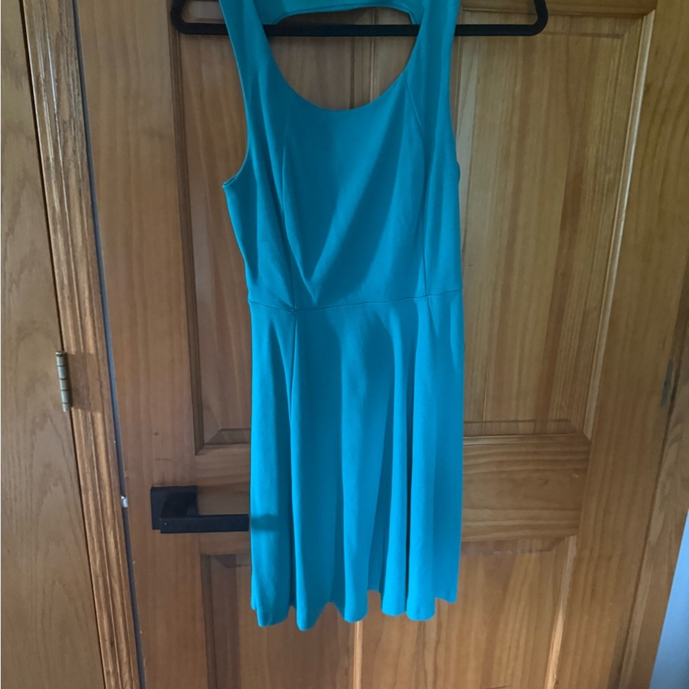 Express Blue Fit and Flare Mini Dress